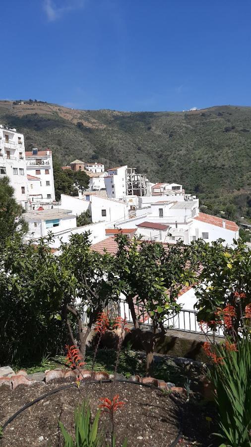 Villa Monte Polopos Exterior photo